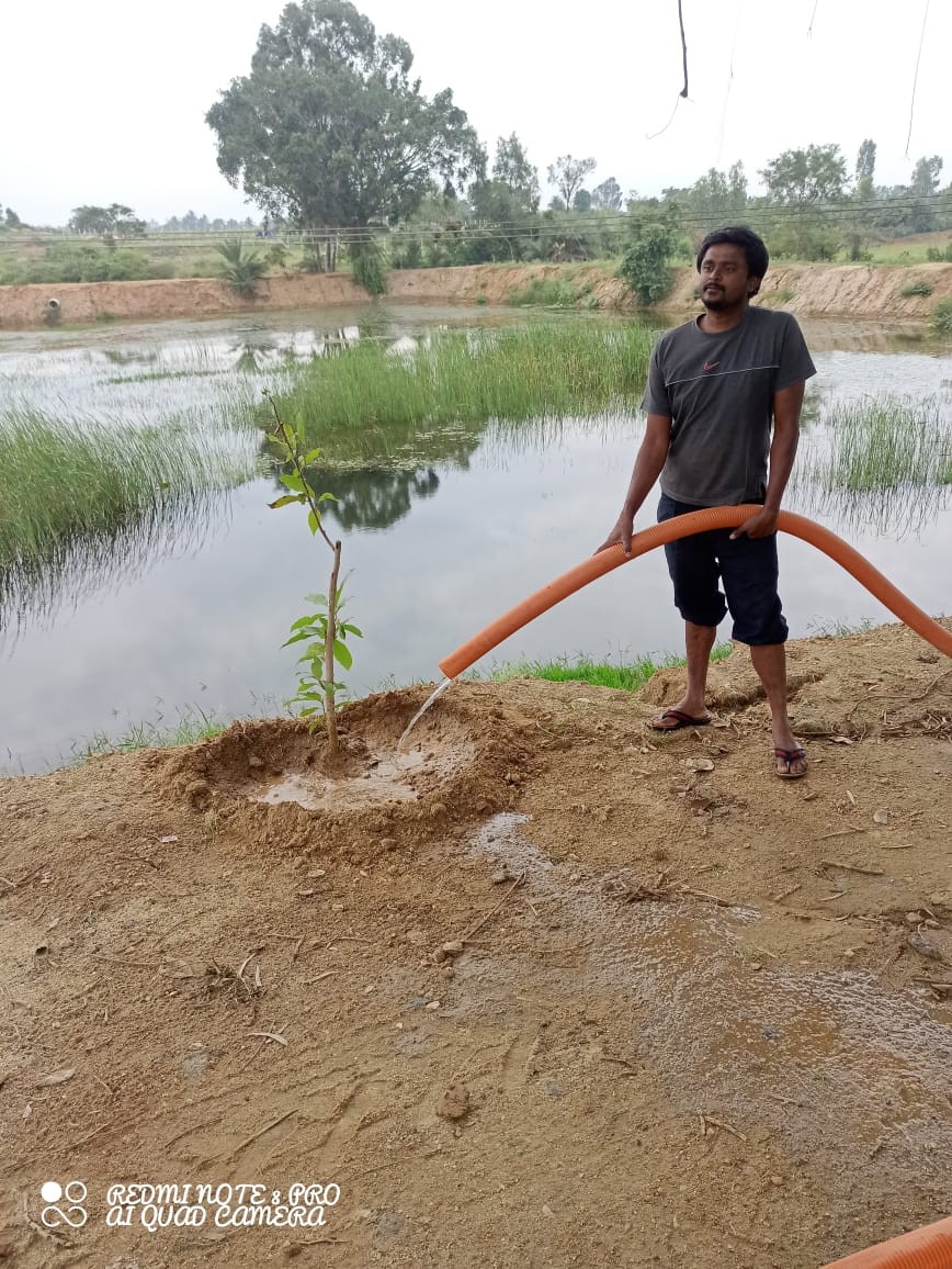 Watering  newly planted  tree plants at Moranapalli eri on 10th Nov 2021